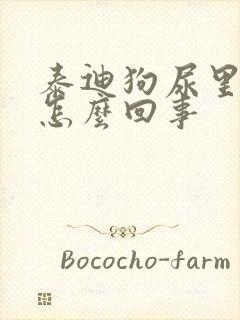 泰迪狗尿里带血怎么回事