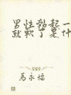 男性勃起一会儿就软了是什么原因