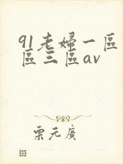 91老妇一区二区三区av