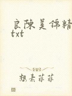 良陈美锦精校版txt
