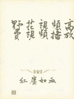 野花视频高清免费视频播放9