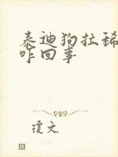 泰迪狗拉稀带血咋回事