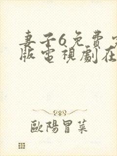 妻子6免费完整版电视剧在线看