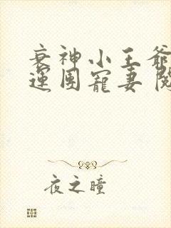 衰神小王爷的福运团宠妻 阅读封面