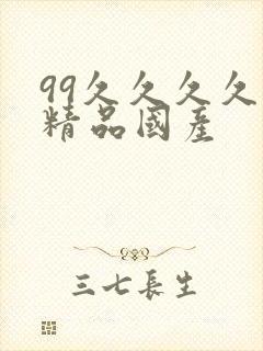 99久久久久久精品国产