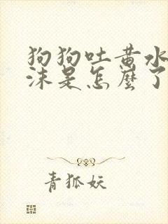 狗狗吐黄水带泡沫是怎么了