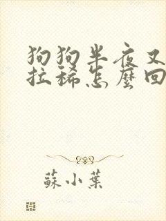 狗狗半夜又吐又拉稀怎么回事封面