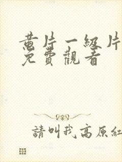 黄片一级片在线免费观看