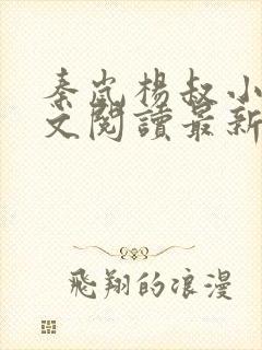 秦岚杨叔小说全文阅读最新章节封面