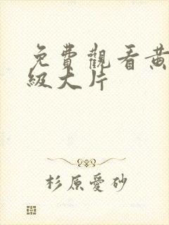 免费观看黄色一级大片封面