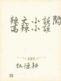 辣文小说阅读网高辣小说封面