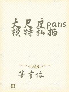 大尺度pans模特私拍