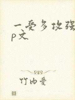 一受多攻强制np文