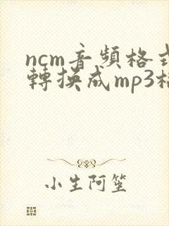 ncm音频格式转换成mp3格式