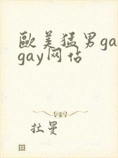 欧美猛男gaygay网站