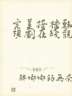 完美搭档韩剧电视剧在线观看全集高