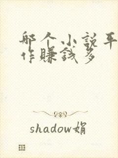 哪个小说平台写作赚钱多