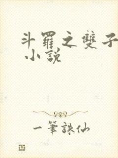 斗罗之双子斗罗 小说封面