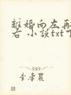 离婚向左再婚向右 小说txt下载