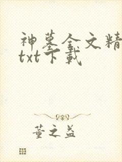 神墓全文精校版txt下载