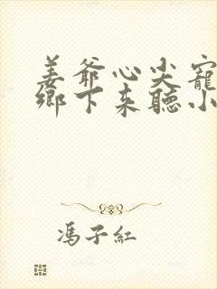 姜爷心尖宠她从乡下来听小说