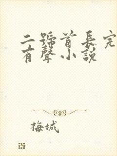 二号首长完整版有声小说