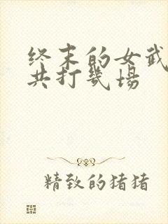 终末的女武神一共打几场