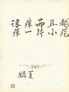 很痒而且越挠越痒一片小疙瘩