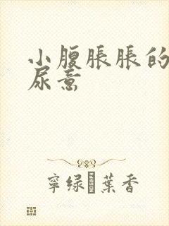 小腹胀胀的总有尿意