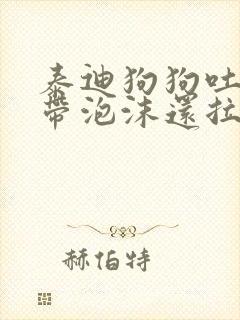 泰迪狗狗吐黄水带泡沫还拉稀