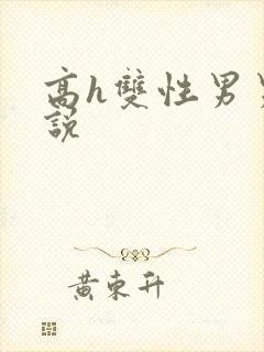 高h双性男男小说