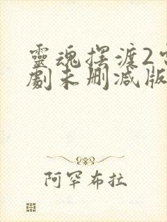 灵魂摆渡2电视剧未删减版