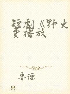 短剧《野火》免费播放