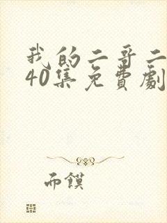 我的二哥二嫂全40集免费剧情介绍封面