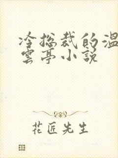 冷总裁的温柔陆云亭小说