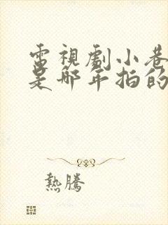 电视剧小巷人家是哪年拍的封面