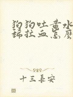 狗狗吐黄水又拉稀拉血怎么办封面