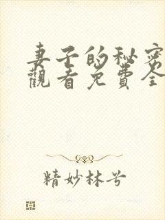 妻子的秘密在线观看免费全集电视剧封面