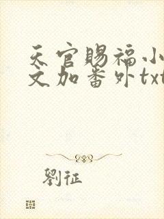 天官赐福小说全文加番外txt