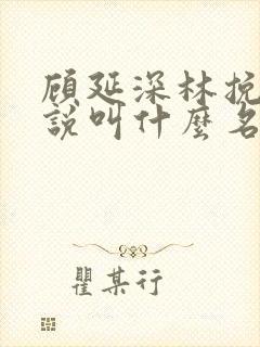 顾延深林挽音小说叫什么名字