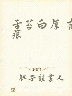 舌苔白厚 有齿痕