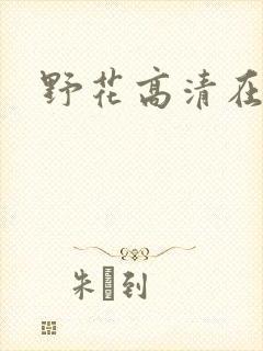 野花高清在线