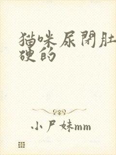 猫咪尿闭肚子硬硬的