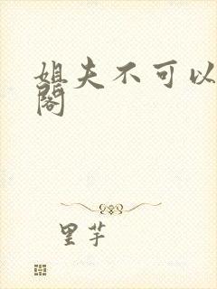 姐夫不可以笔趣阁封面