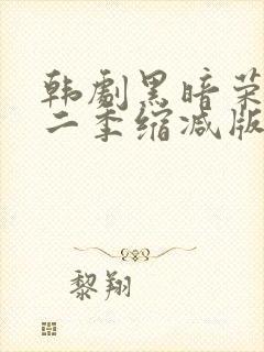 韩剧黑暗荣耀第二季缩减版封面