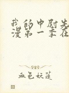 我的中尉先生动漫第一季在线观看