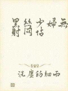 黑丝少妇无套内射网站