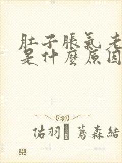 肚子胀气老放屁是什么原因