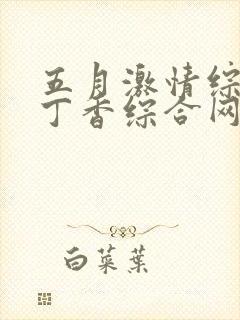 五月激情综合网丁香综合网