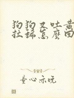 狗狗又吐黄水又拉稀怎么回事